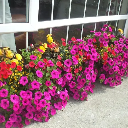 Carranross بيت ضيافة
