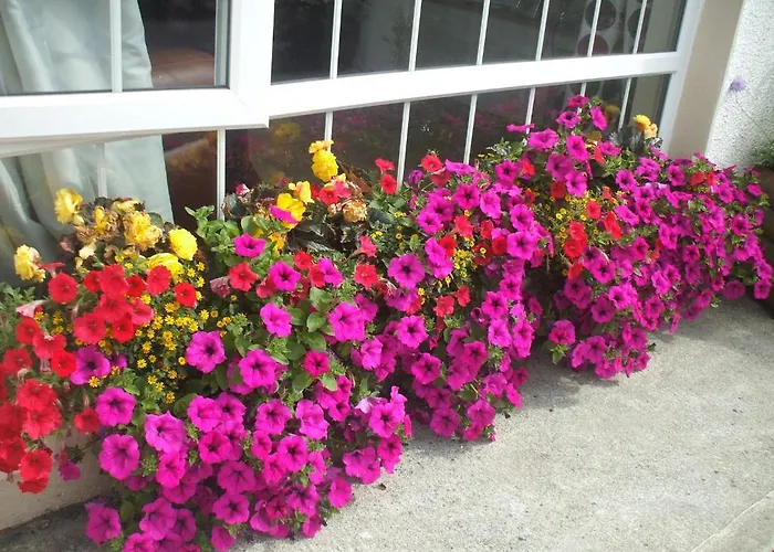 Carranross Guest house