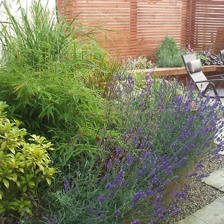 Πανσιόν Carranross